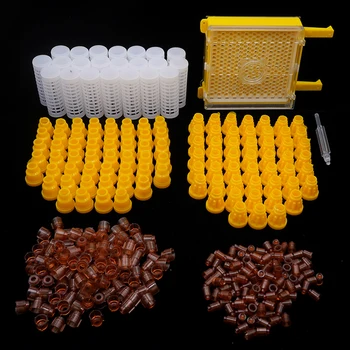 Bišu Karaliene Audzēšanas Komplekts Pilnīgu Jenter Biškopības Instrumenti, Biškopības Lodziņā Būris Turētājs Plastmasas Šūnu Tases Bišu Vairošanās Sistēmu 1Set